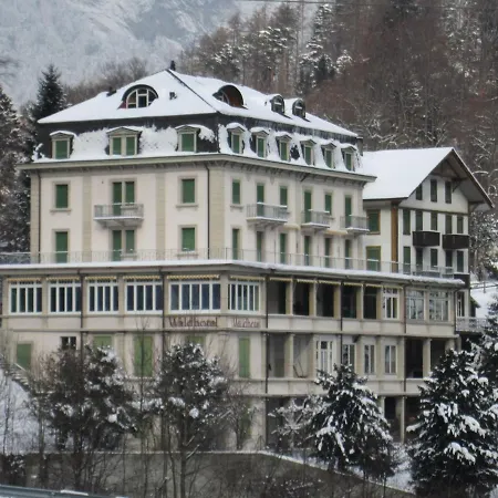 Hostel Budget Waldhotel - Shared Bathrooms Wilderswil