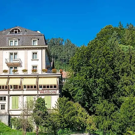 Budget Waldhotel - Shared Bathrooms Hostel Wilderswil