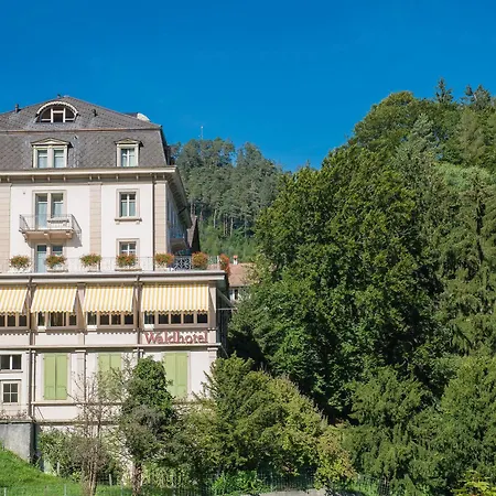 Hostel Budget Waldhotel Unspunnen Wilderswil