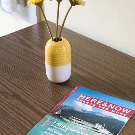 بيت شباب بودجيت فالد انسبونن