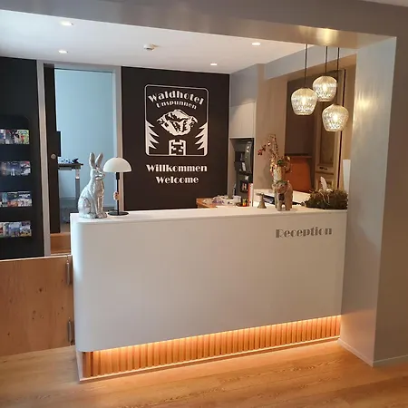 אכסניה Budget Waldhotel Unspunnen וילדרסויל